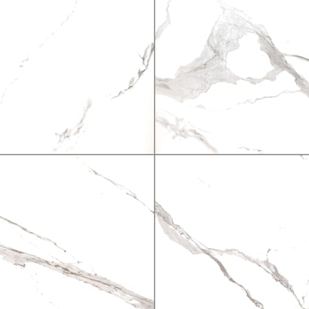 Msi Eden Statuary 24 In. X 24 In. Glazed Porcelain Floor And Wall Tile, 4PK ZOR-PT-0565